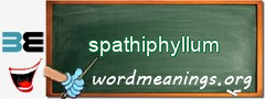 WordMeaning blackboard for spathiphyllum